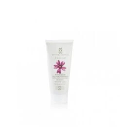 Facial Antiaging. Bio Celular. Renovador Celular Intensivo - Massada